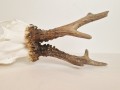 20260508_063343.jpg