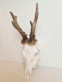 20260508_063411.jpg