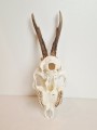 20260508_064455.jpg