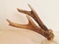 20260508_064510.jpg