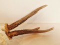 20260508_064533.jpg