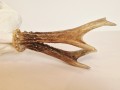 20260508_064550.jpg