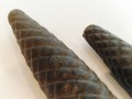 20260413_173845.jpg