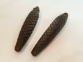 20260413_173856.jpg