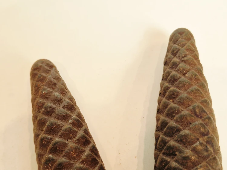 20260413_174136.jpg