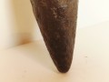 20260413_174936.jpg