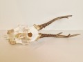 20260508_062456.jpg