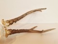 20260508_062459.jpg