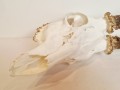 20260508_062516.jpg
