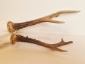 20260508_062519.jpg
