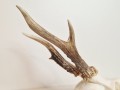 20260508_062234.jpg