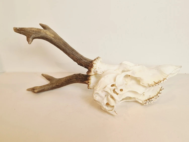 20260508_062123.jpg
