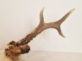 20260508_064337.jpg