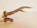 20260508_064410.jpg