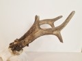 20260508_061855.jpg