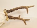 20260508_061907.jpg