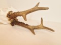 20260508_061921.jpg