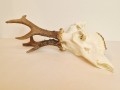 20260508_061624.jpg