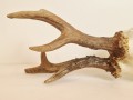 20260508_061627.jpg