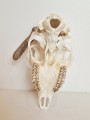 20260508_064651.jpg