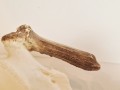 20260508_064703.jpg