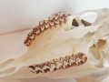 20260508_064729.jpg