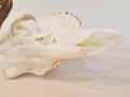 20260508_064739.jpg