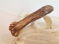 20260508_064744.jpg