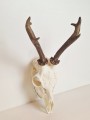 20260508_061700.jpg