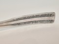20260509_085222.jpg