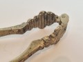 20260509_084720.jpg
