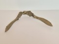 20260509_084733.jpg