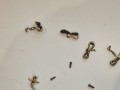 20260526_143539.jpg