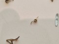 20260526_143556.jpg