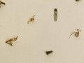 20260526_143758.jpg