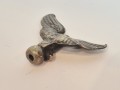 20260509_084230.jpg