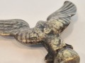 20260509_084340.jpg