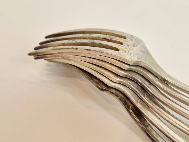 20260602_080426.jpg