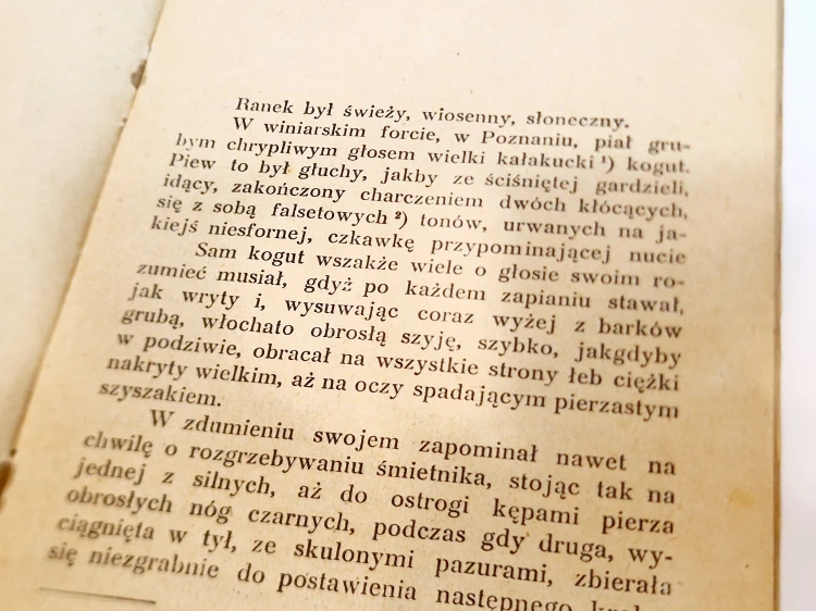 20250112_183432.jpg