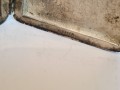 20260614_062600.jpg