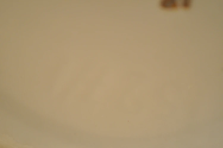 18b.JPG