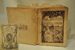 (1919) LWÓW / NA DWORZE KRÓLA STASIA - STANISŁAW WASYLEWSKI 