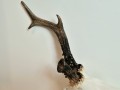 20260725_055929.jpg