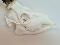 20260725_055932.jpg