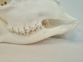 20260725_055936.jpg