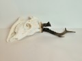 20260725_055950.jpg