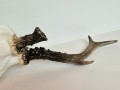 20260725_055954.jpg