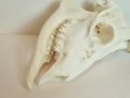 20260725_055959.jpg