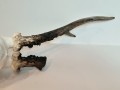 20260725_060011.jpg