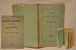 (1859) WŁADYSŁAW DIENHEIM PRAWDZIC CHOTOMSKI - POLNE KWIATY POEZJE LIRYJNE I DWA BŁĘDNE OGNIKI 